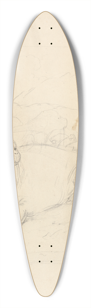 James Sowerby - Walruses on Cliffs 39.3 inch art pintail longboard deck