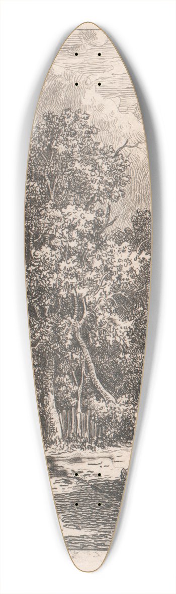James Stark - Trees and Cottage 39.3 inch art pintail longboard deck