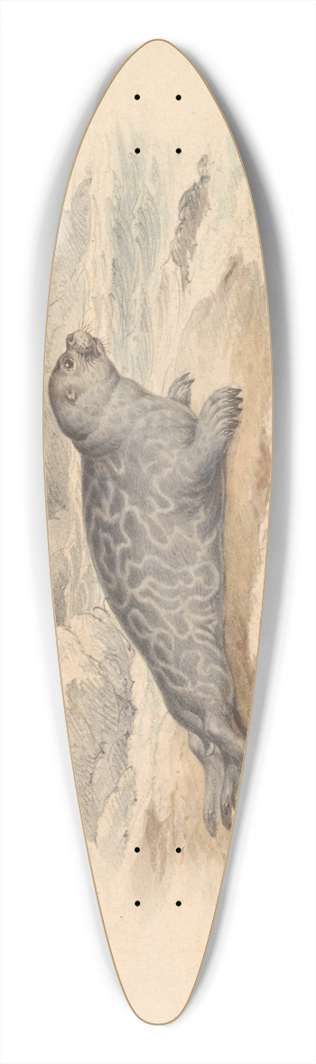 James Stewart - The Ringed Seal 39.3 inch art pintail longboard deck