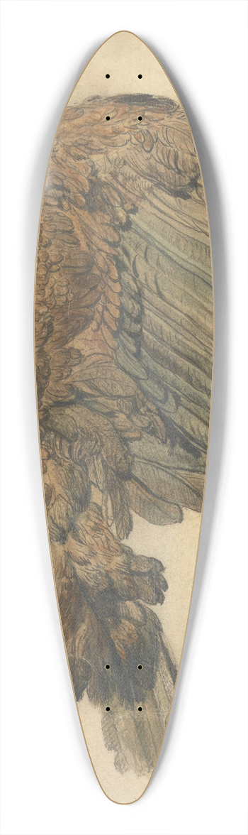 James Ward - Study of a Plunging Eagle 39.3 inch art pintail longboard deck