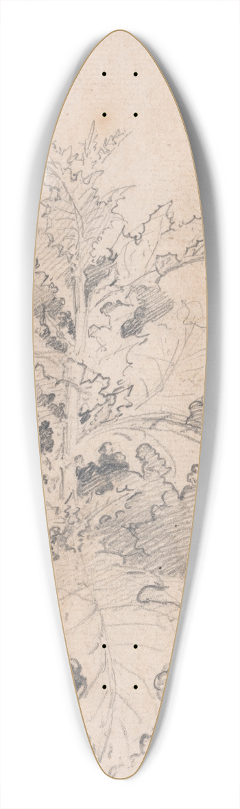 James Ward - Study of a Thistle 39.3 inch art pintail longboard deck
