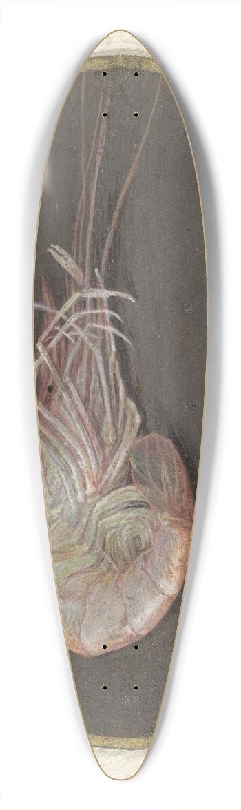 Jan Augustin van der Goes - Garnaal 39.3 inch art pintail longboard deck