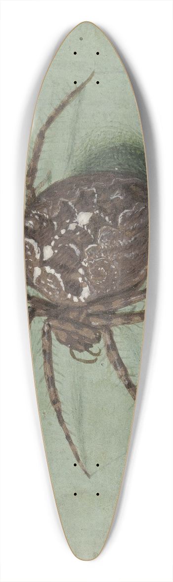 Jan Augustin van der Goes - Spin 39.3 inch art pintail longboard deck