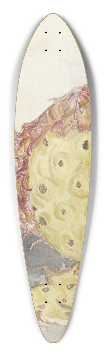 Jan Brandes - Ananas 39.3 inch art pintail longboard deck