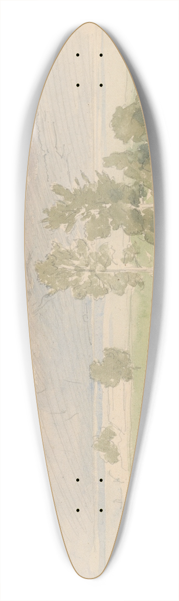 Jan Nowopack - Motif from Steinbach 39.3 inch art pintail longboard deck
