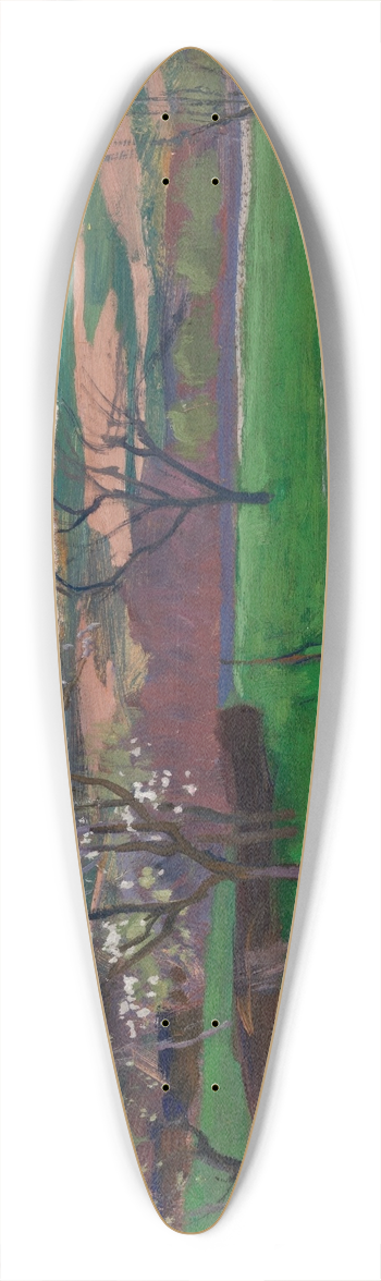 Jan Stanislawski - Spring 39.3 inch art pintail longboard deck