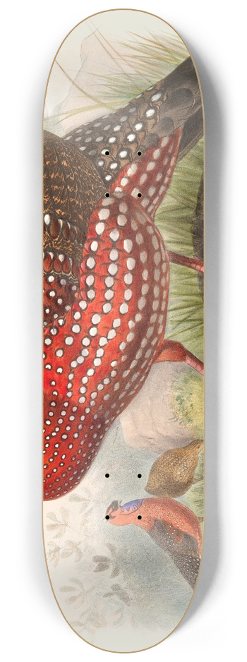 Joseph Smit - Ceriornis satyra. 8.25 inch art skate deck
