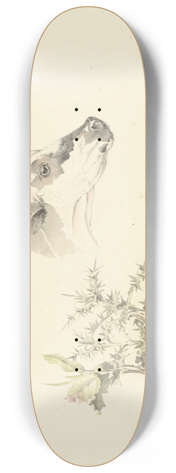 Josephus Augustus Knip - Kop van een koe en twee planten 8.25 inch art skate deck