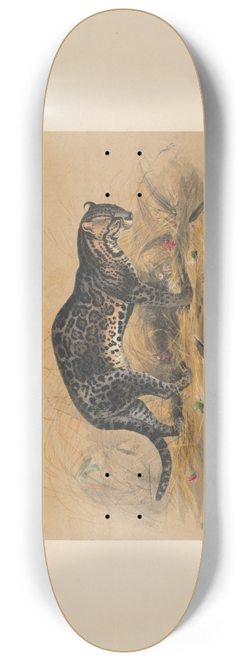 Joseph Wolf - The Painted Ocelot 8.25 inch art skate deck