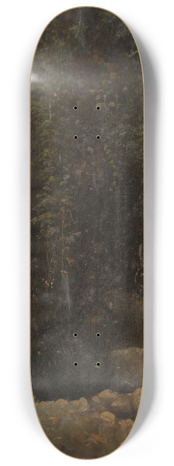 Julie Wilhelmine Hagen-Schwarz - Hagen-Schwarz, Julie. Allikas 8.25 inch art skate deck