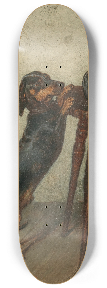 Julius Pollak - Dachshunde 8.25 inch art skate deck