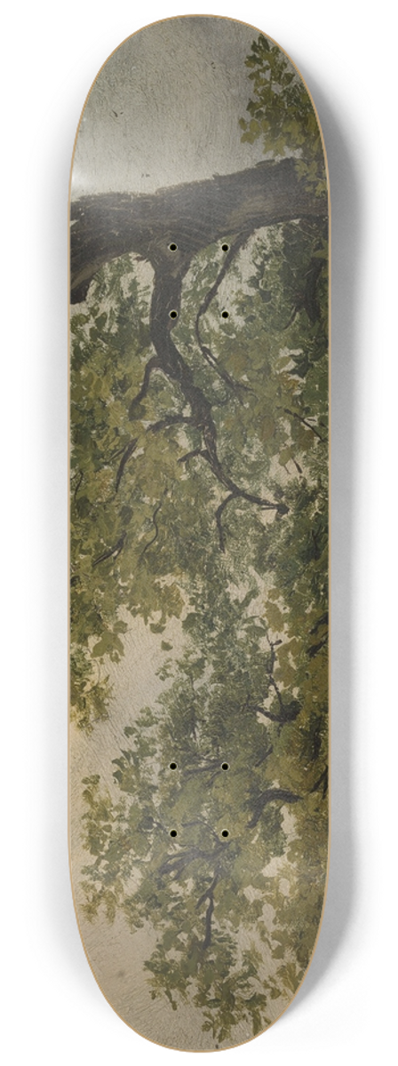 Julius Schoppe - Trees 8.25 inch art skate deck