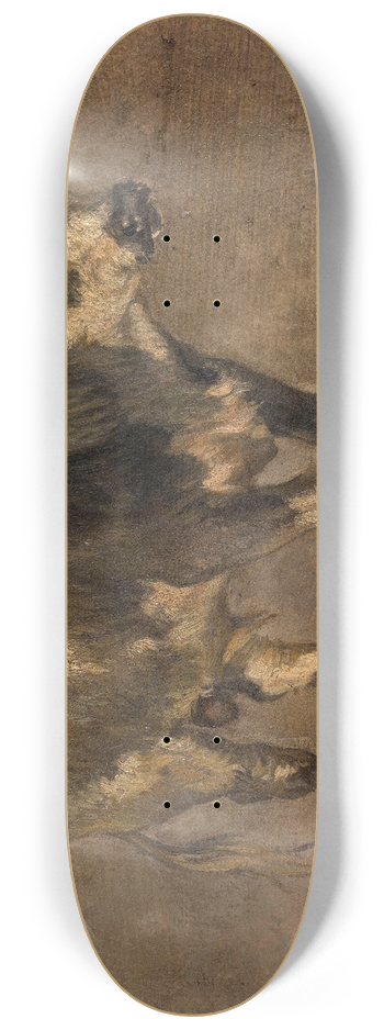 Andre Plumot - Bull 8.25 inch art skate deck