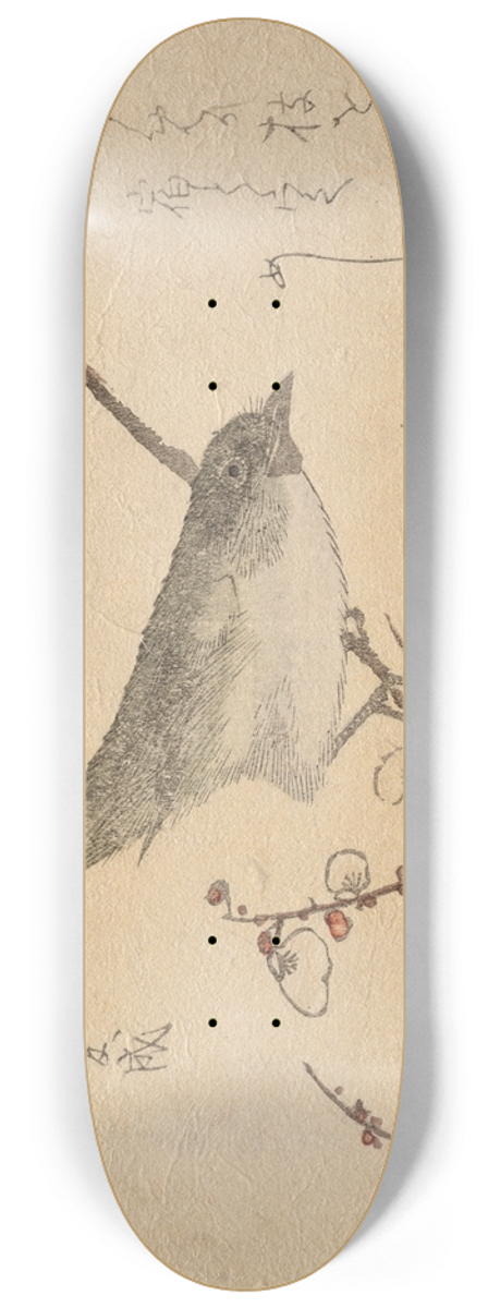 Kubo Shunman - Warbler on plumbranch 8.25 inch art skate deck