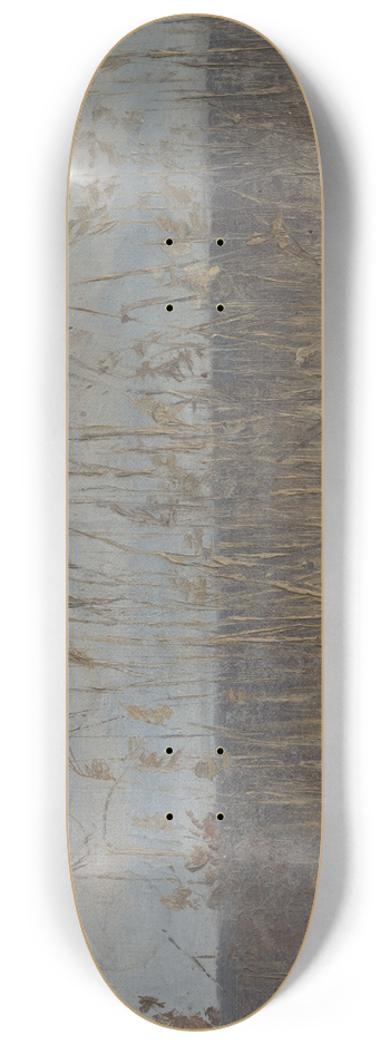 Ladislav Mednynszky - Study of a Marsh Landscape 8.25 inch art skate deck
