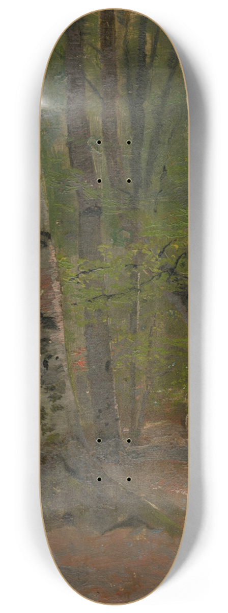 Ladislav Mednynszky - Study of Forest Interior 8.25 inch art skate deck