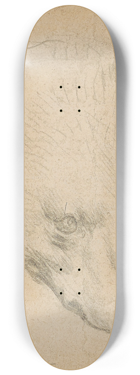Leonardo da Vinci - Head of a bear 8.25 inch art skate deck