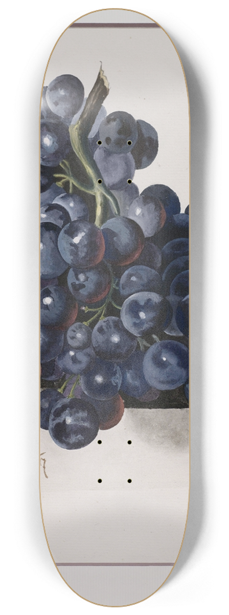 Leopold Zinngger - Grapes 8.25 inch art skate deck