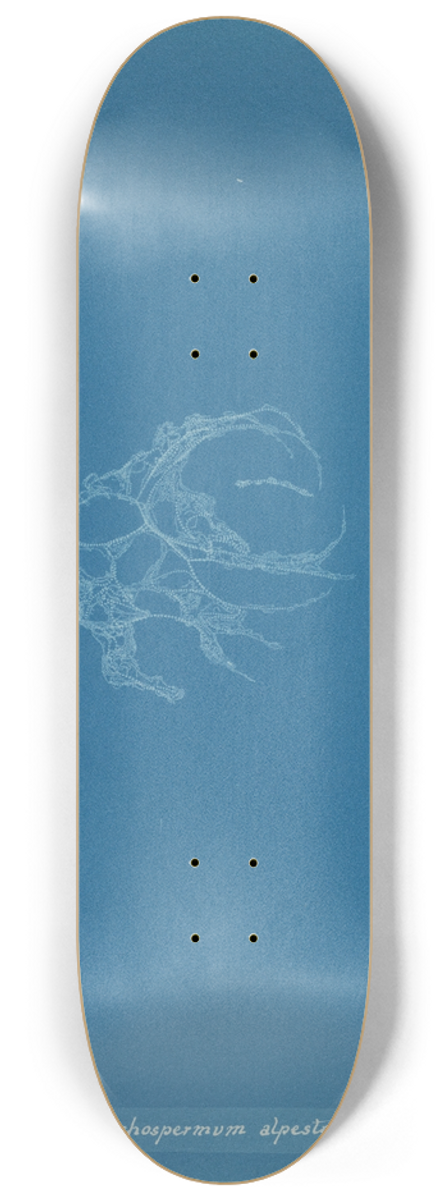 Anna Atkins - Batrachospermum alpestre 8.25 inch art skate deck