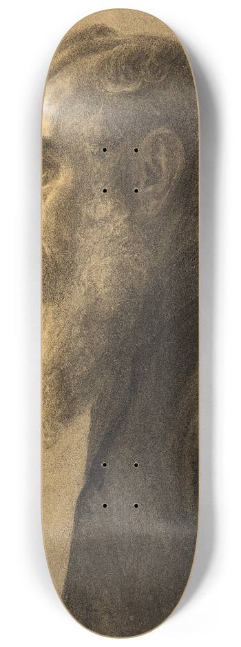 Lilly Walther - Mehe portree 8.25 inch art skate deck