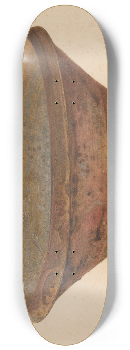 Lloyd Charles Lemcke - Bowl 8.25 inch art skate deck