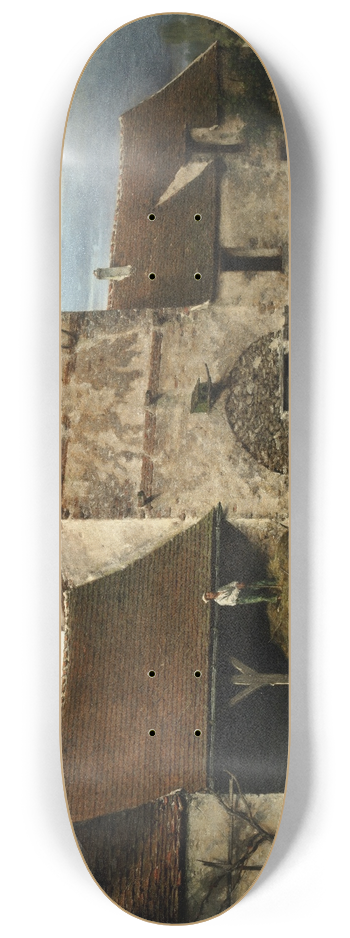 Lon Lgat - The farmyard 8.25 inch art skate deck