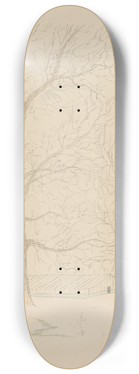 Lon Spilliaert - Les Serres Chaudes 1 8.25 inch art skate deck