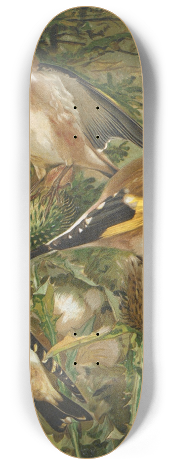 Lo-Paul Robert - Chardonneret 8.25 inch art skate deck