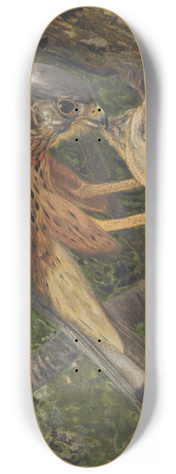 Lo-Paul Robert - Crcerelle 8.25 inch art skate deck