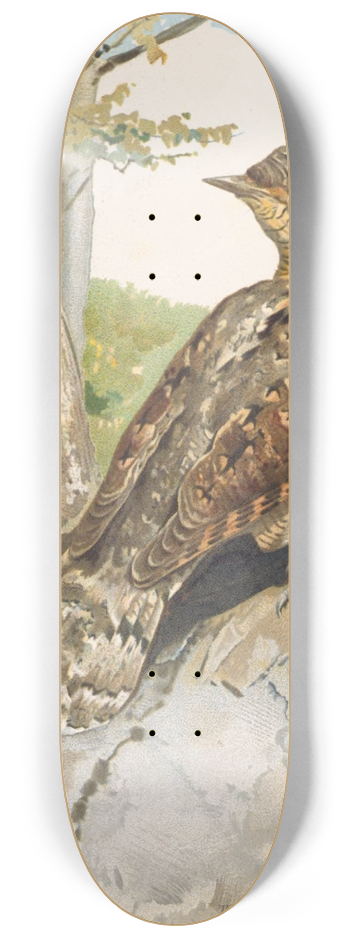 Lo-Paul Robert - Torcol 8.25 inch art skate deck