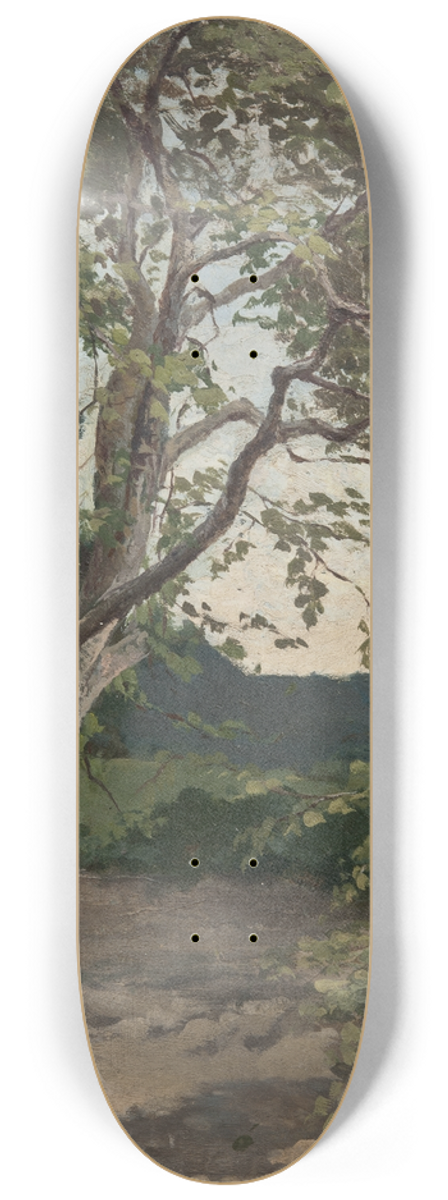Anna Nordlander - A Tree. Study 8.25 inch art skate deck
