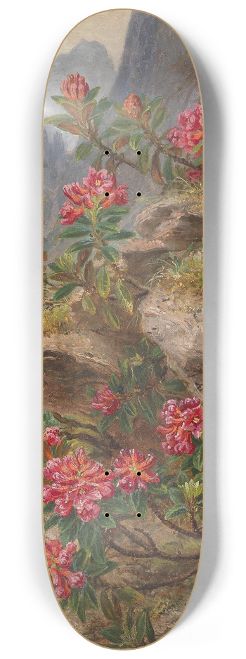 Anna Stainer-Knittel - Alpenblumen 8.25 inch art skate deck