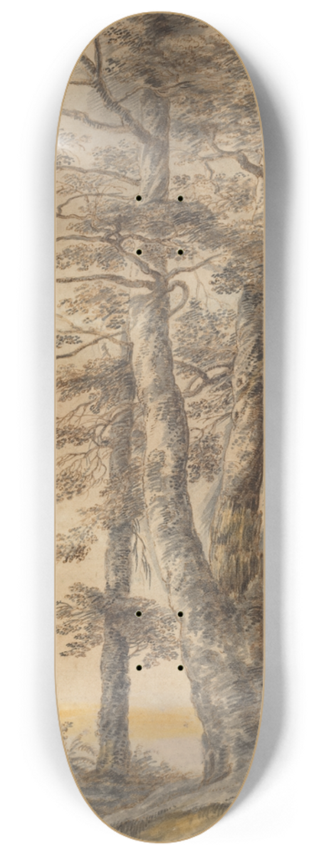 Lucas van Uden - Study of Trees 8.25 inch art skate deck