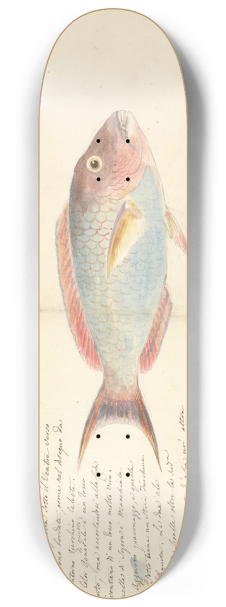 Luigi Balugani - Harid 8.25 inch art skate deck