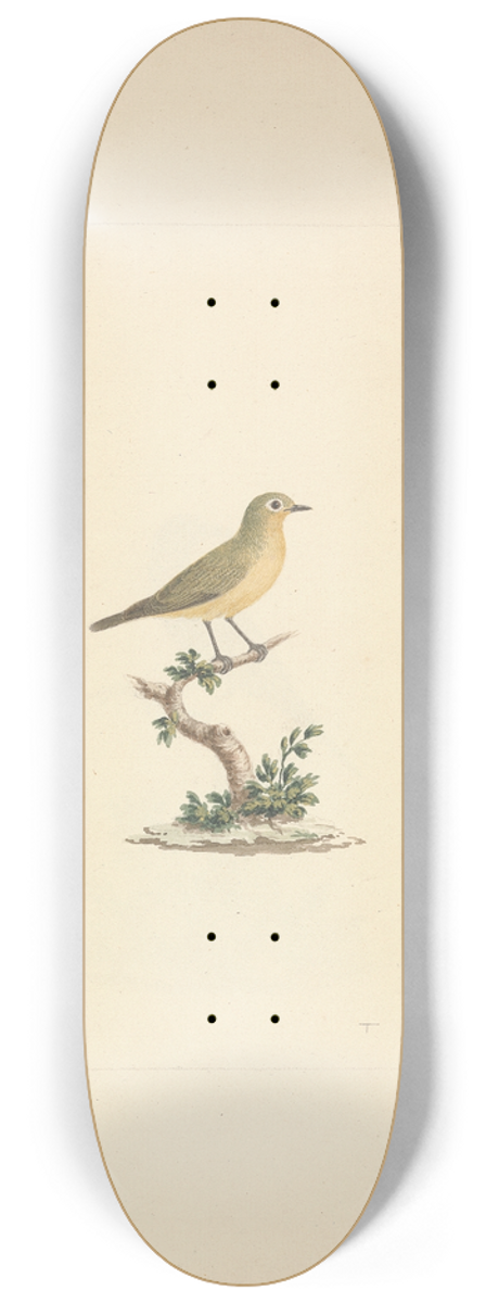 Luigi Balugani - Unidentified Bird 8.25 inch art skate deck