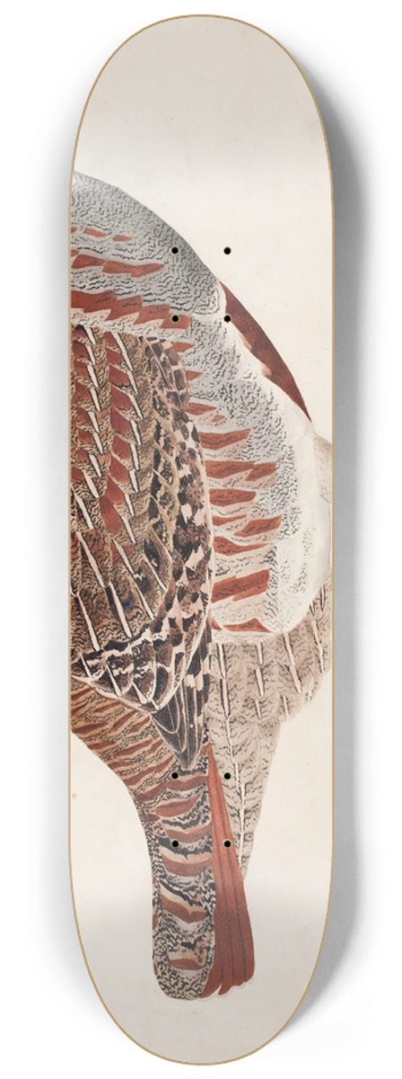 Magnus Von Wright - Grey Partridge 8.25 inch art skate deck
