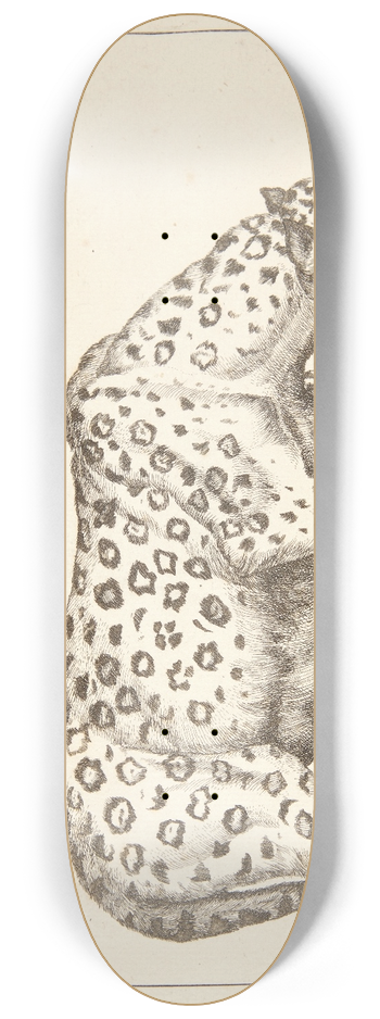 Marcus de Bye - Hunleopard 8.25 inch art skate deck