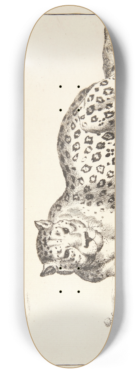 Marcus de Bye - Liggende leopard, vendt mod venstre 8.25 inch art skate deck