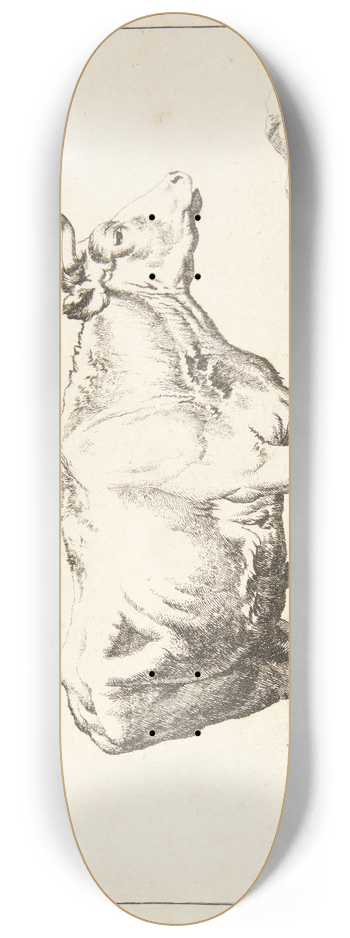 Marcus de Bye - Stende stud mod hjre 8.25 inch art skate deck