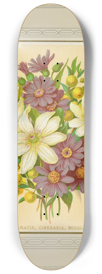 Marcus Ward & Co - Clematis, Cineraria, Buddlea 8.25 inch art skate deck