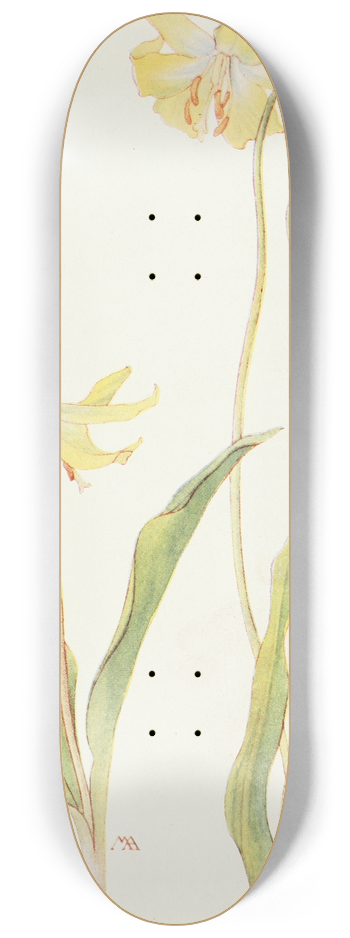 Margaret Armstrong - Dogtooth Violet 8.25 inch art skate deck