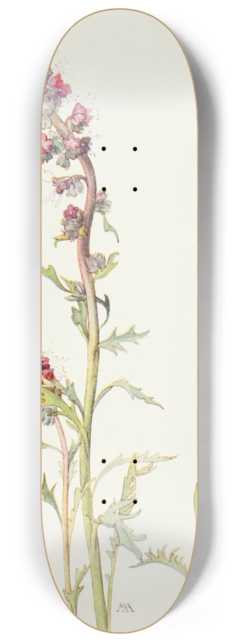 Margaret Armstrong - Mountain Phacelia 8.25 inch art skate deck