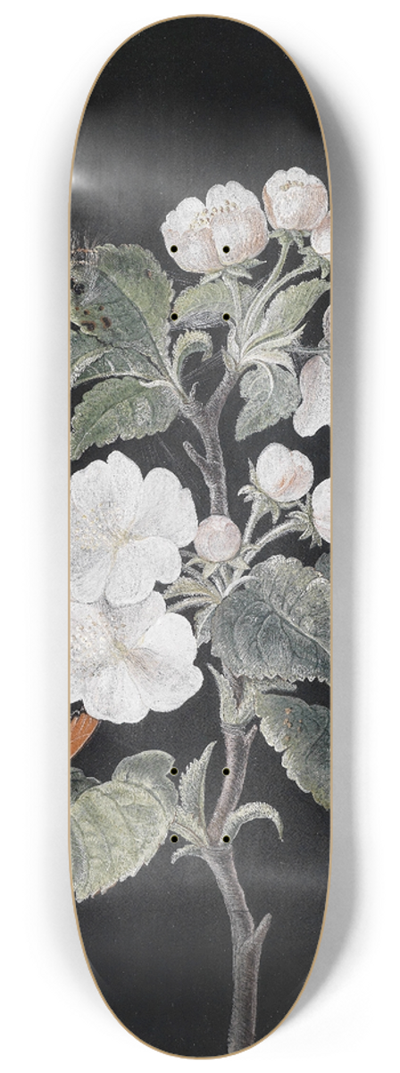 Margaretha Barbara Dietzsch - Apfelblten 8.25 inch art skate deck
