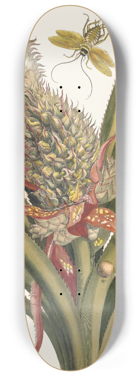 Maria Sibylla Merian - Ananas 8.25 inch art skate deck