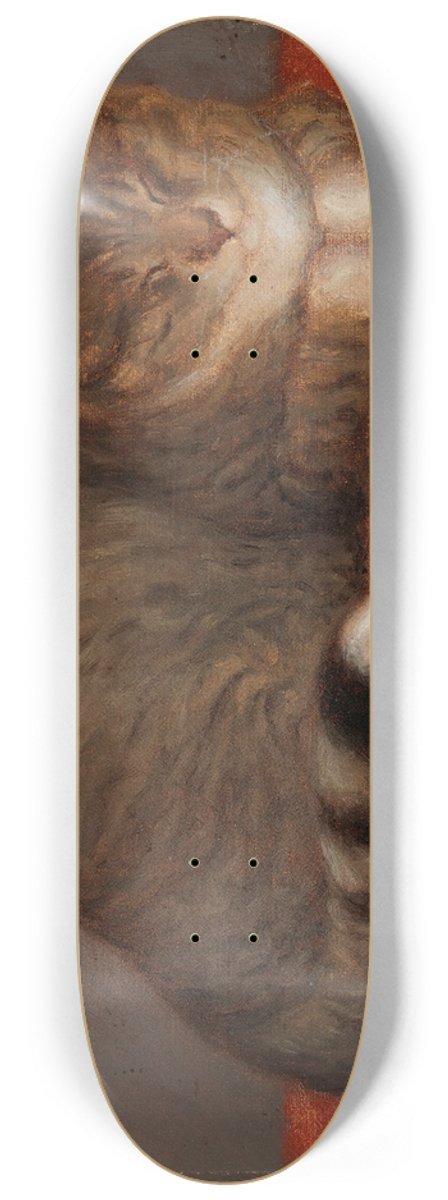 Maria Wiik - Lying Cat, Mosse 8.25 inch art skate deck