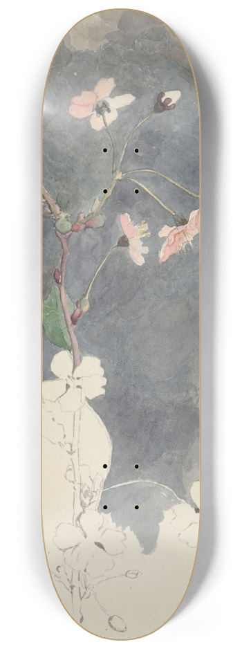 Maria Yakunchikova - Flower study 8.25 inch art skate deck