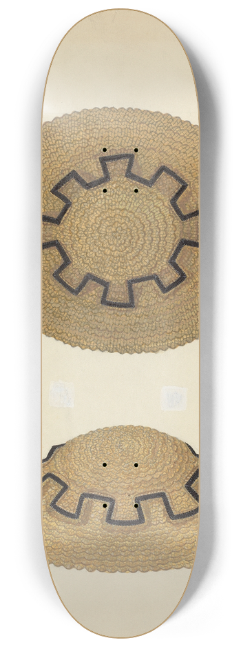 Marie Famularo - Hat 8.25 inch art skate deck
