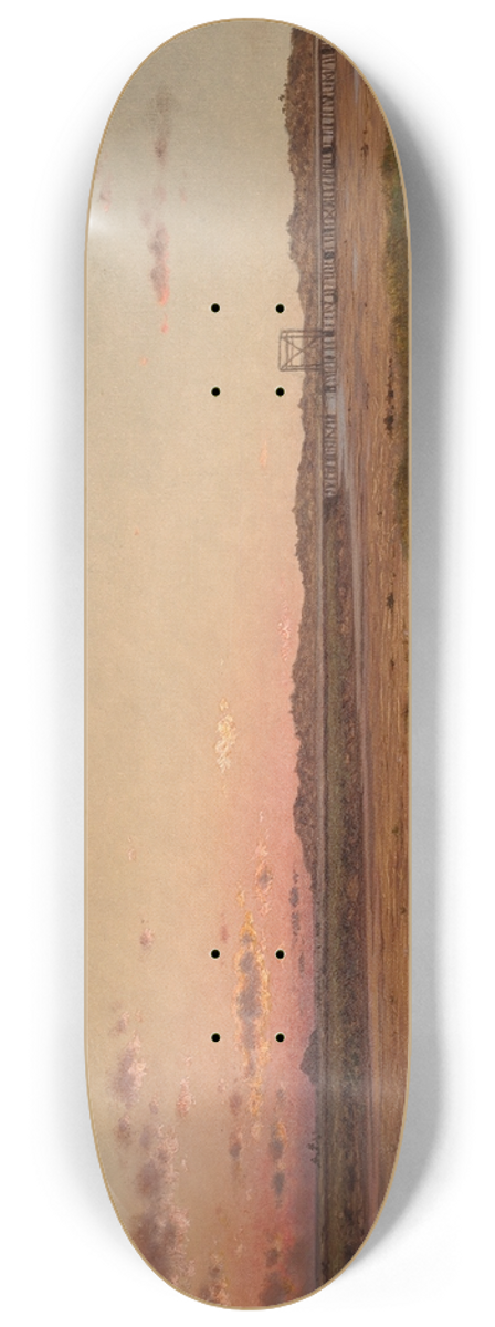 Martin Johnson Heade - LynnMeadows 8.25 inch art skate deck