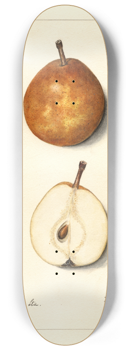 Mary Daisy Arnold - Pyrus communis: Lamartine 8.25 inch art skate deck