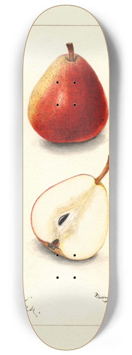 Mary Daisy Arnold - Pyrus communis: Wilder 8.25 inch art skate deck